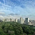 Park Cast